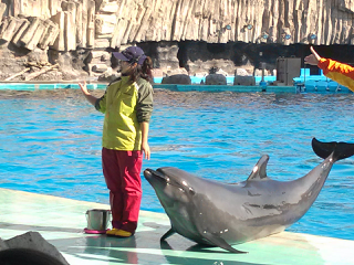 名古屋港水族館